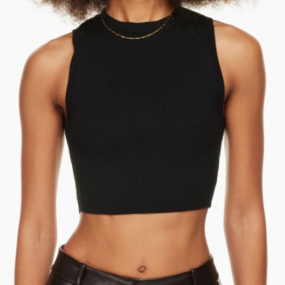 Aritzia Wilfred Knit High Neck Top